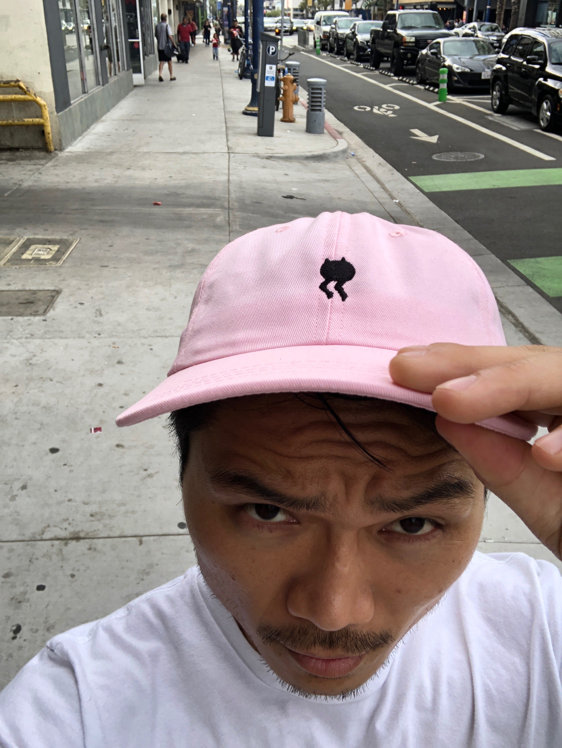 catman dad hat